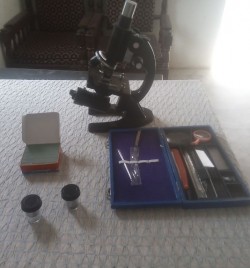 Microscope